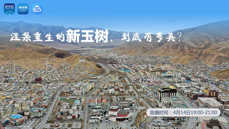 涅槃重生的新玉樹(shù)，到底有多美？