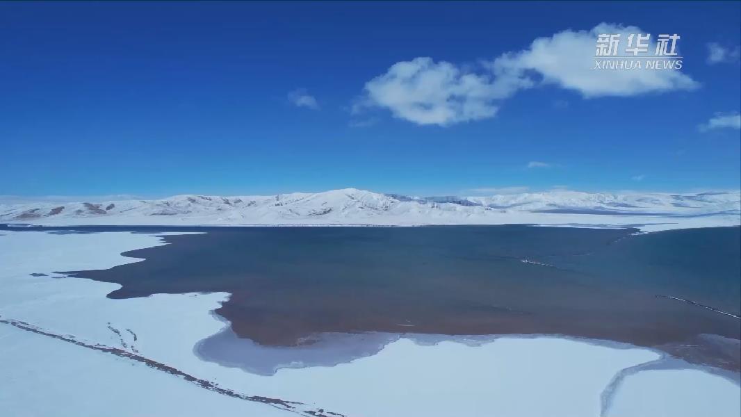 青?，敹啵憾喾N珍稀野生動(dòng)物亮相黃河源頭