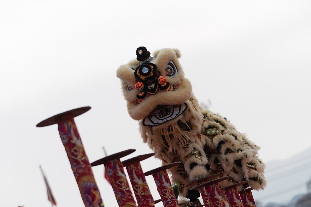 新春走基層丨&ldquo;龍騰獅躍&rdquo;賀新春 青海貴德年味濃